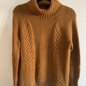 American Eagle Turtleneck Sweater